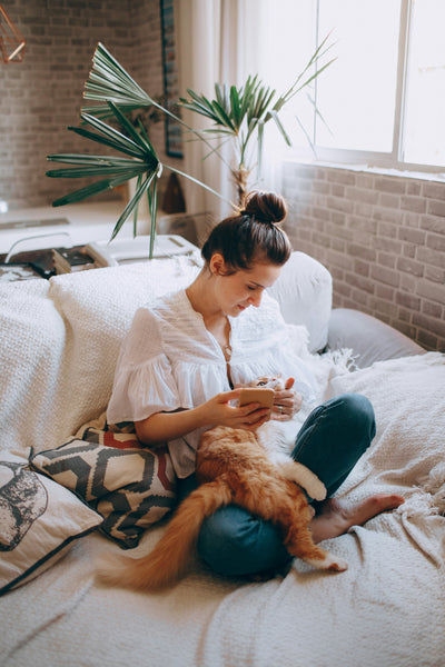 10 Everyday Habits That Will Improve Your Pet’s Health & Happiness