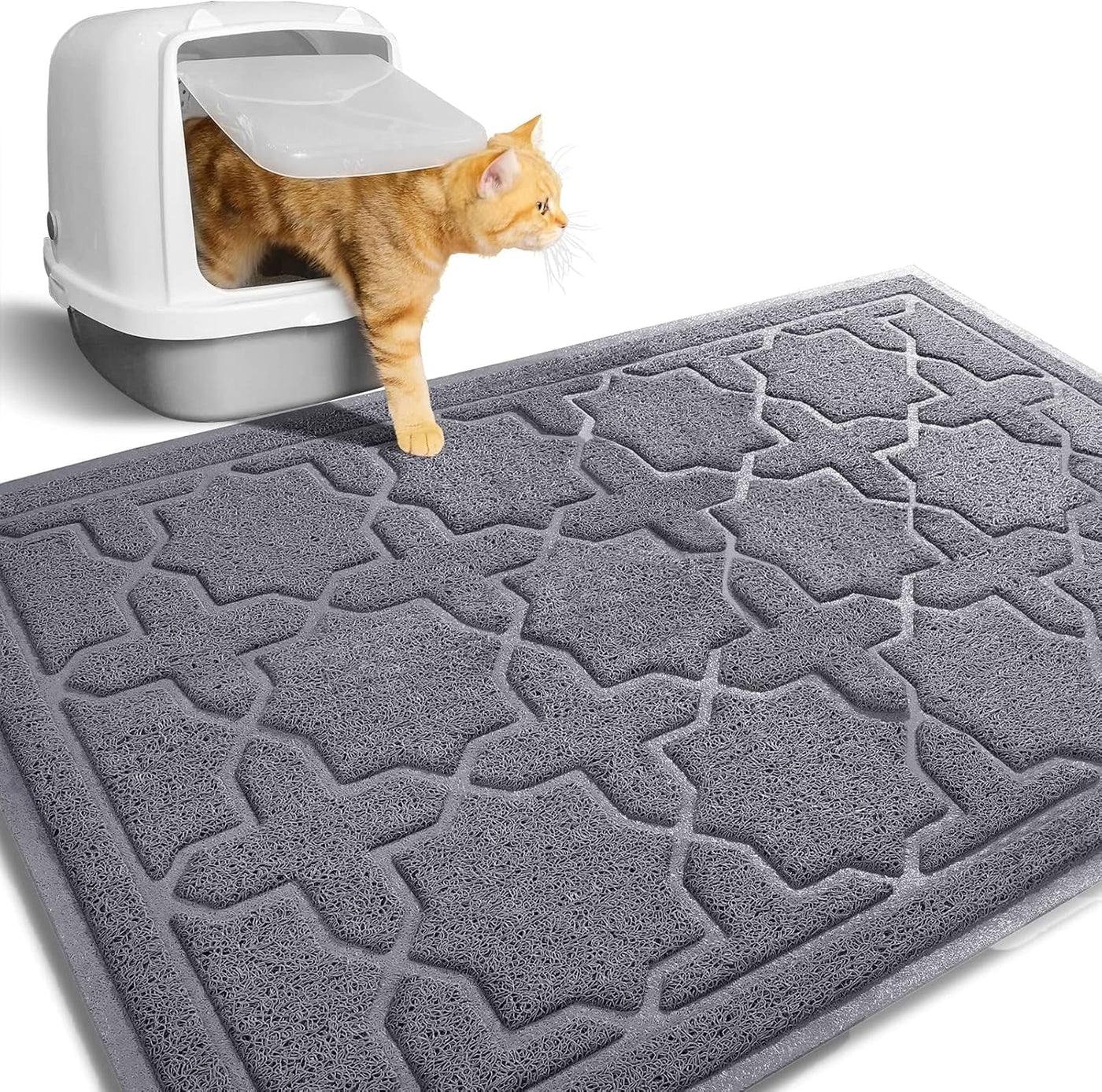 Cat Litter & House