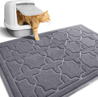 Cat Litter & House