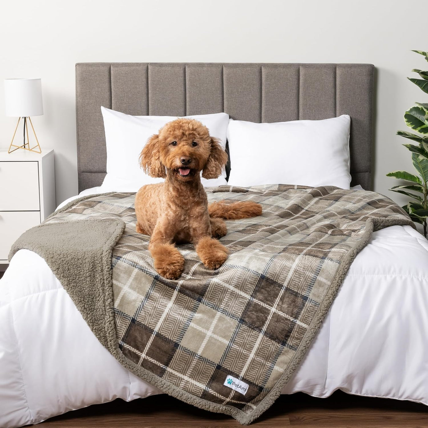 WATERPROOF Dog Blanket for Bed, XL Dog Pet Blanket Couch Cover Protection, Sherpa Fleece Leakproof Bed Blanket for Crate Kennel Sofa Furniture Protector, Reversible Soft Plush 80X60 Plaid Taupe