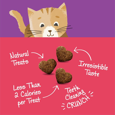 Kittles Natural Grain Free Salmon & Cranberries Cat Treats, 6 Oz, Bag