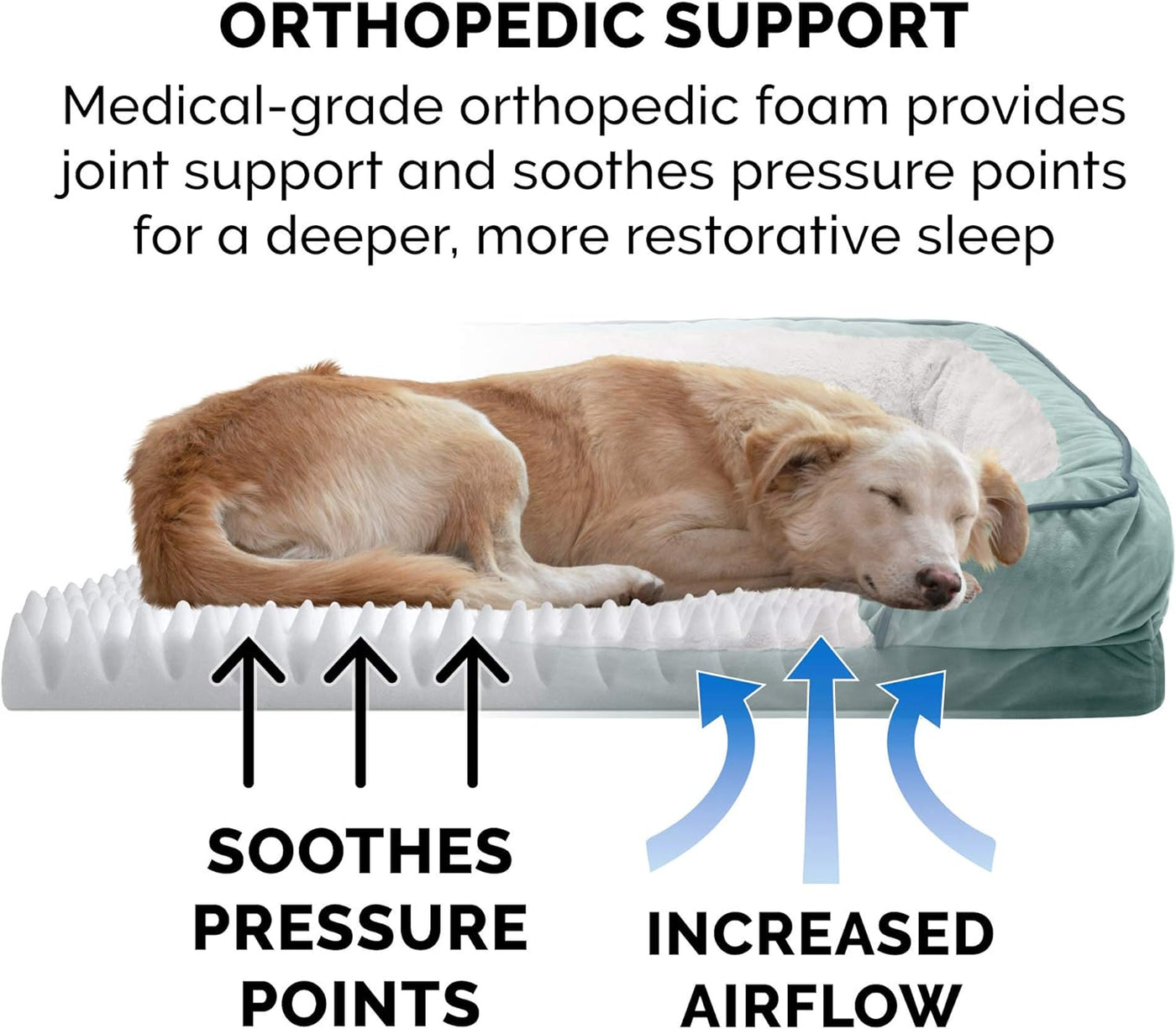 Orthopedic Dog Bed for Small Dogs W/ Removable Bolsters & Washable Cover, for Dogs up to 20 Lbs - Plush & Velvet Waves Perfect Comfort Sofa - Celadon Green, Small