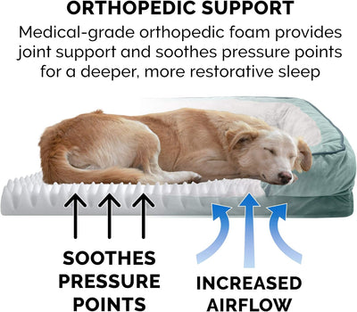 Orthopedic Dog Bed for Small Dogs W/ Removable Bolsters & Washable Cover, for Dogs up to 20 Lbs - Plush & Velvet Waves Perfect Comfort Sofa - Celadon Green, Small
