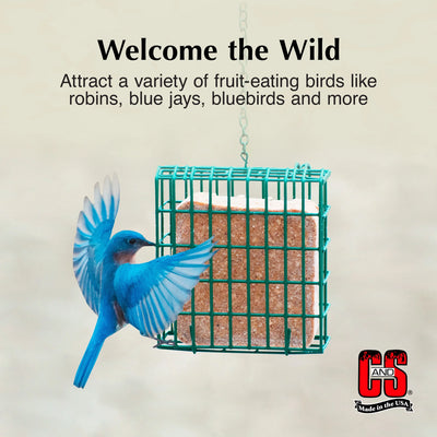 C&S Berry Suet Treat, for Wild Birds, 11.75 Ounces