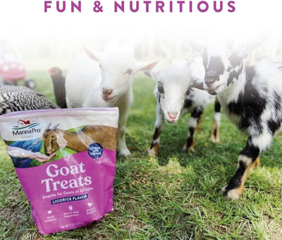 Goat Treats Licorice Flavor, Formulated with Oatmeal, Different Types of Goats, 6 Lbs
