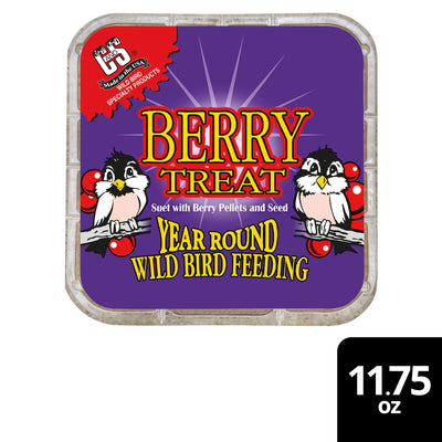 C&S Berry Suet Treat, for Wild Birds, 11.75 Ounces