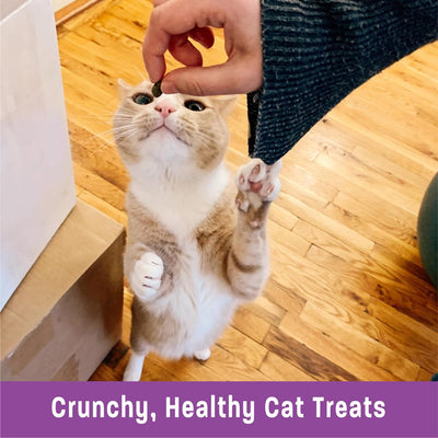 Kittles Natural Grain Free Salmon & Cranberries Cat Treats, 6 Oz, Bag