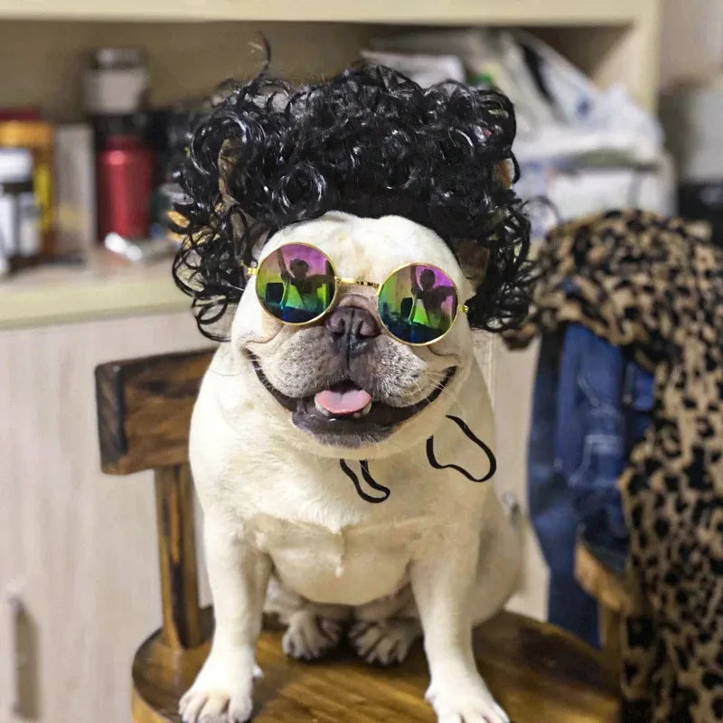 Pet Wig Costume Set – Funny Cosplay Hair Accessories for Dogs & Cats, Ideal for Dress-Up, Photoshoots & DIY Pranks