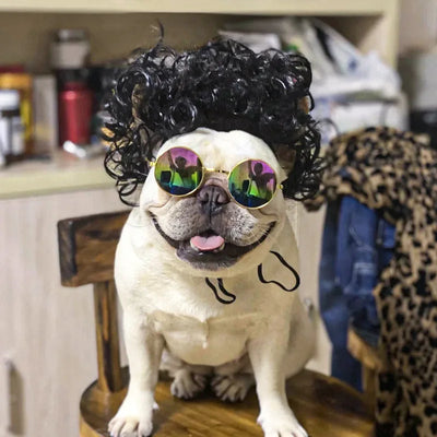 Pet Wig Costume Set – Funny Cosplay Hair Accessories for Dogs & Cats, Ideal for Dress-Up, Photoshoots & DIY Pranks