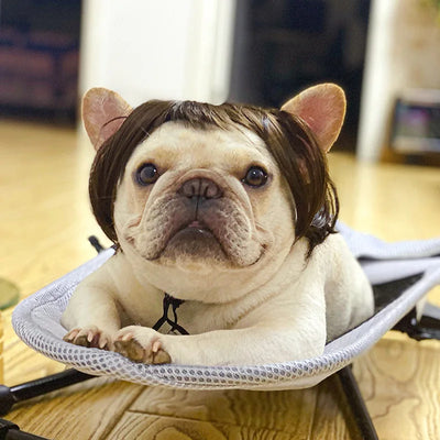 Pet Wig Costume Set – Funny Cosplay Hair Accessories for Dogs & Cats, Ideal for Dress-Up, Photoshoots & DIY Pranks
