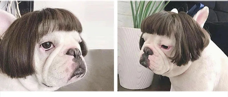 Pet Wig Costume Set – Funny Cosplay Hair Accessories for Dogs & Cats, Ideal for Dress-Up, Photoshoots & DIY Pranks