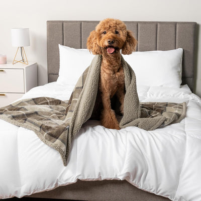 WATERPROOF Dog Blanket for Bed, XL Dog Pet Blanket Couch Cover Protection, Sherpa Fleece Leakproof Bed Blanket for Crate Kennel Sofa Furniture Protector, Reversible Soft Plush 80X60 Plaid Taupe
